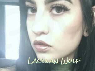 Lachlan_Wolf