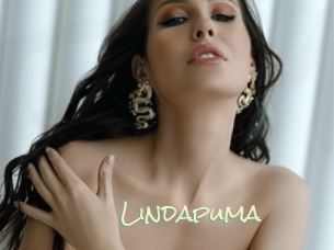 Lindapuma