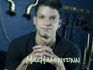 MaxHamintonn