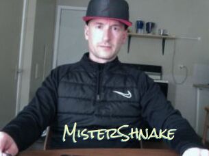 MisterShnake