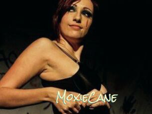 Moxie_Cane