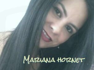 Mariana_hornet