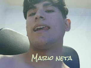 Mario_neta