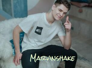 Marvinshake