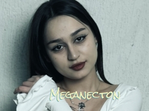 Meganecton