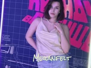 Meganfelt