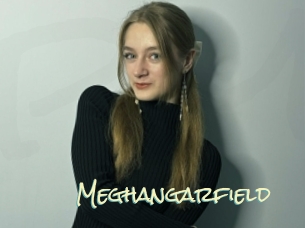 Meghangarfield