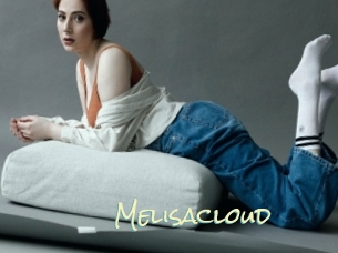 Melisacloud