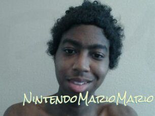 NintendoMarioMario