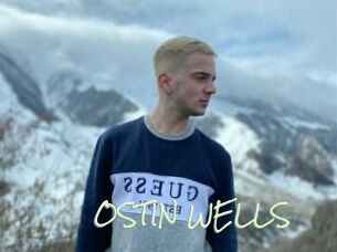 OSTIN_WELLS