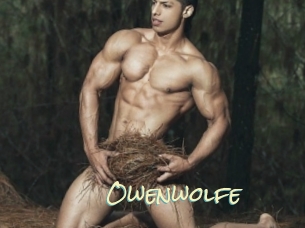 Owenwolfe