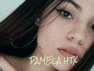 PAMELA_HTX