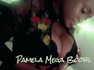 Pamela_Mega_Boobs