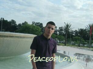 PeaceofLoves