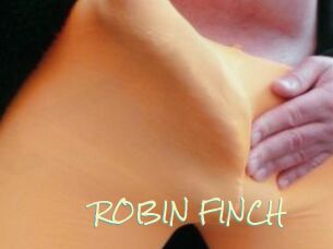 ROBIN_FINCH