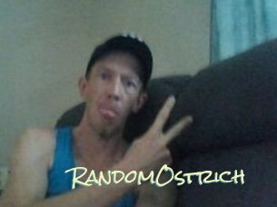 RandomOstrich