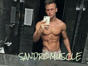 SANDRO_MUSCLE