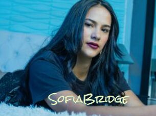 SofiaBridge