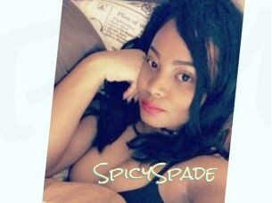 SpicySpade