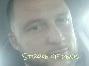 Stroke_of_penis