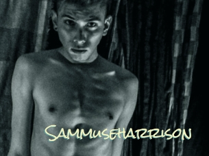 Sammuseharrison