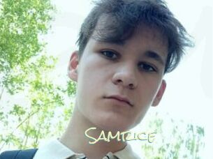 Samrice