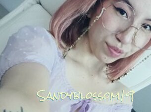 Sandyblossom19