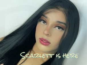 Scarlett_is_here