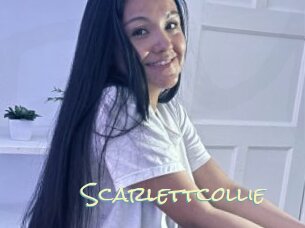 Scarlettcollie