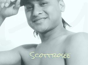 Scottrosee