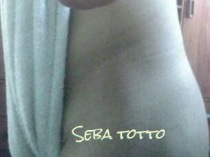 Seba_totto