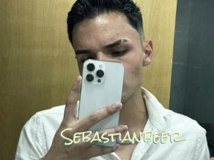 Sebastianbeer