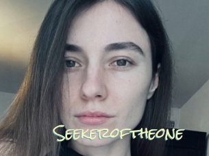 Seekeroftheone