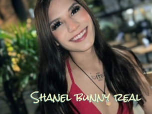 Shanel_bunny_real