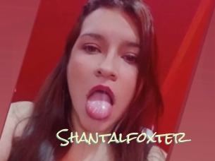 Shantalfoxter