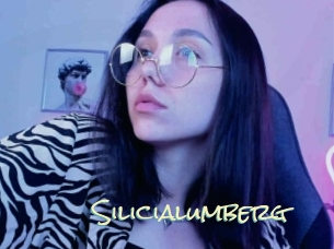 Silicialumberg