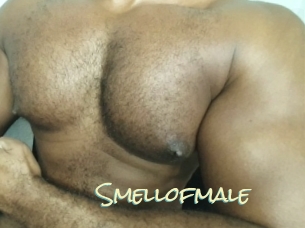 Smellofmale