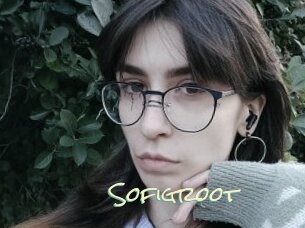 Sofigroot