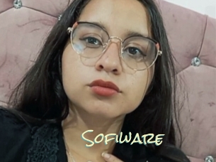 Sofiware