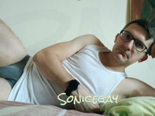 Sonicegay