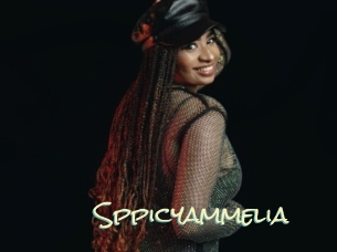 Sppicyammelia