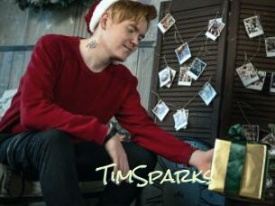 TimSparks