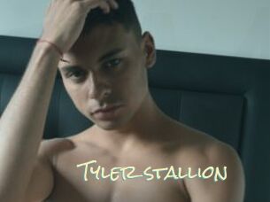 Tyler_stallion