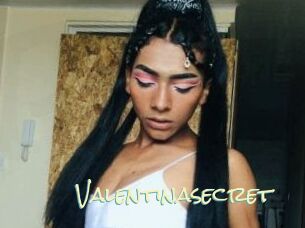 Valentinasecret