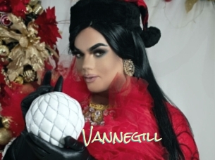 Vannegill