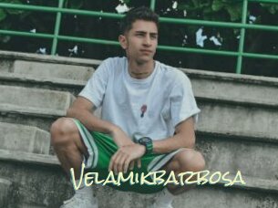 Velamikbarbosa