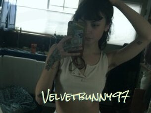 Velvetbunny97