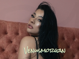 Venusmorgan