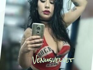 Venusvelvet