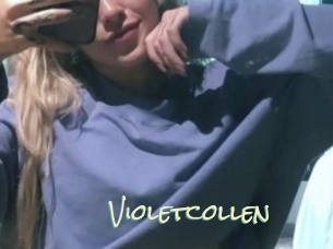 Violetcollen